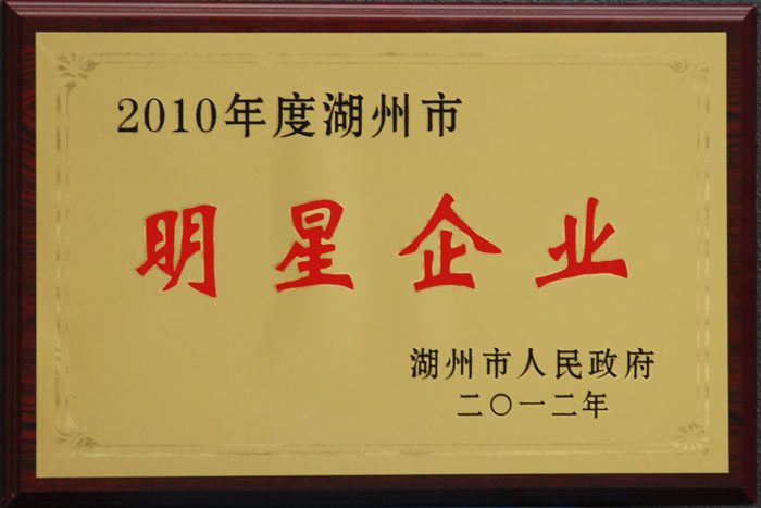 ​2010年湖州市明星企业